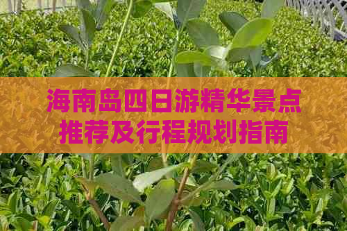 海南岛四日游精华景点推荐及行程规划指南