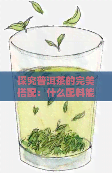 探究普洱茶的完美搭配：什么配料能让它更加香醇？