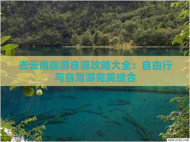 去云南旅游自游攻略大全：自由行与自驾游完美结合