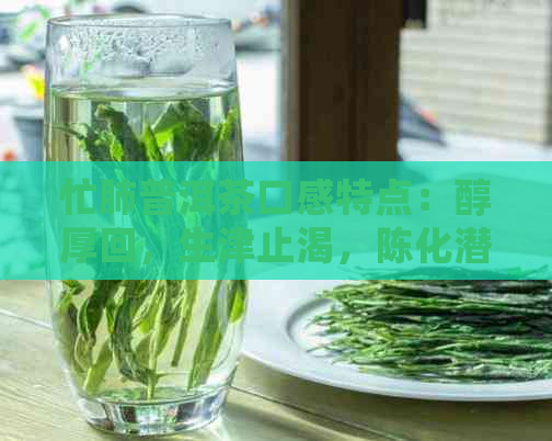 忙肺普洱茶口感特点：醇厚回，生津止渴，陈化潜力大