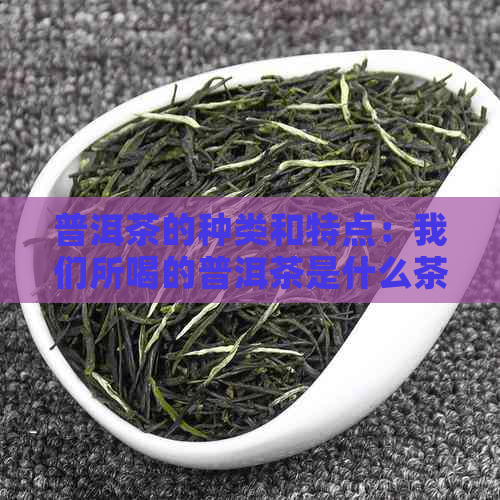 普洱茶的种类和特点：我们所喝的普洱茶是什么茶？