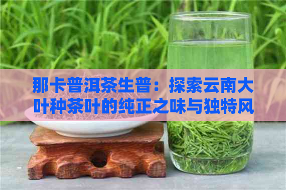 那卡普洱茶生普：探索云南大叶种茶叶的纯正之味与独特风味