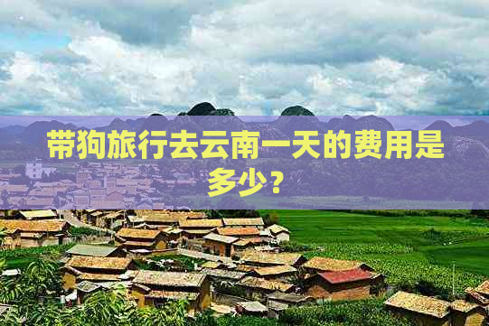 带狗旅行去云南一天的费用是多少？