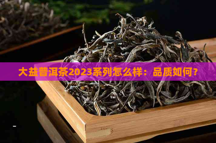 大益普洱茶2023系列怎么样：品质如何？