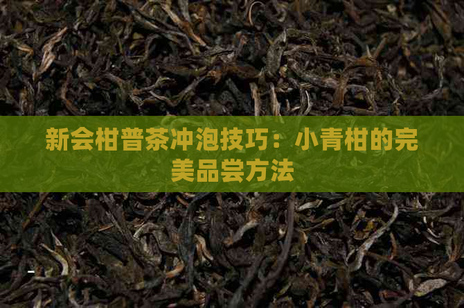 新会柑普茶冲泡技巧：小青柑的完美品尝方法