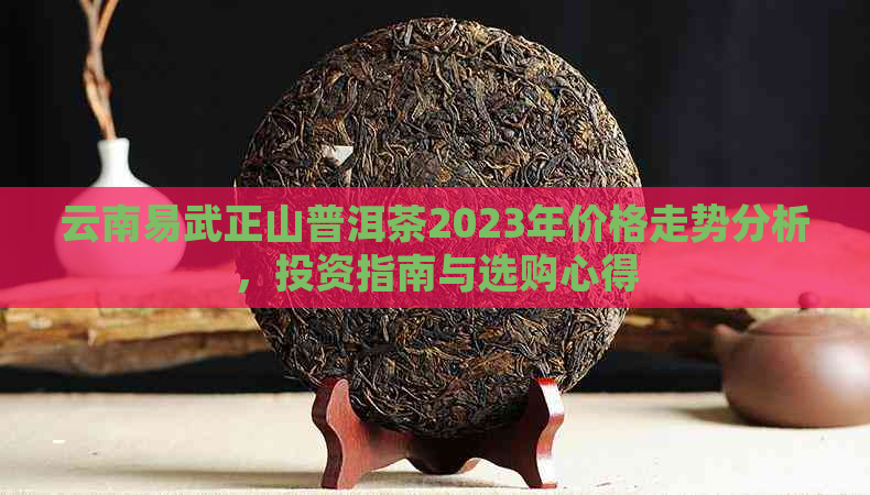 云南易武正山普洱茶2023年价格走势分析，投资指南与选购心得