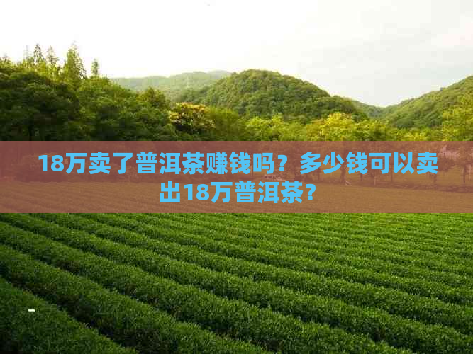 18万卖了普洱茶赚钱吗？多少钱可以卖出18万普洱茶？