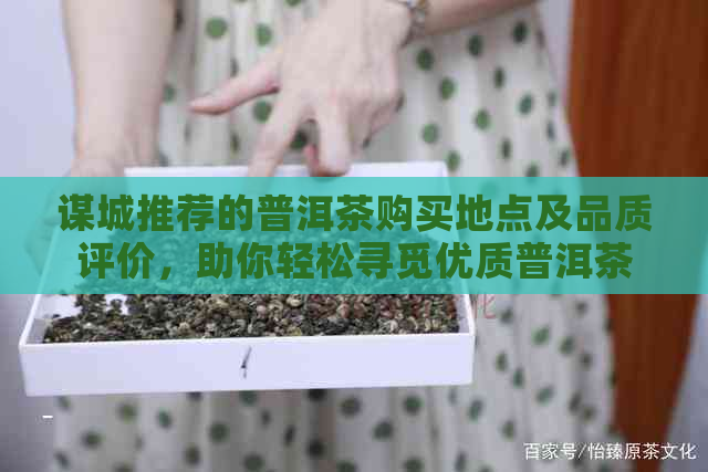 谋城推荐的普洱茶购买地点及品质评价，助你轻松寻觅优质普洱茶