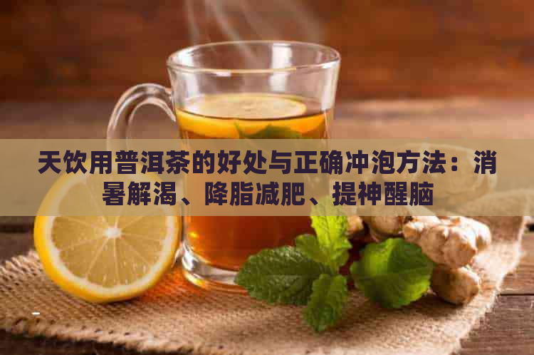 天饮用普洱茶的好处与正确冲泡方法：消暑解渴、降脂减肥、提神醒脑