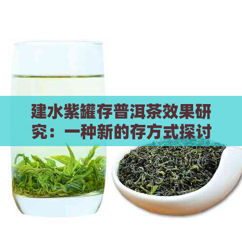 建水紫罐存普洱茶效果研究：一种新的存方式探讨