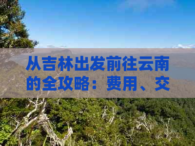 从吉林出发前往云南的全攻略：费用、交通、住宿、景点及行程安排一站式解析