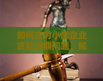 如何应对小微企业贷款逾期问题：解决方法全面解析