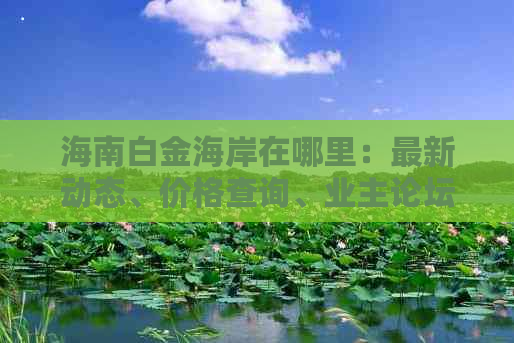 海南白金海岸在哪里：最新动态、价格查询、业主论坛及31号楼价格信息