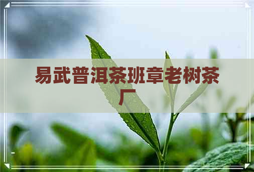 易武普洱茶班章老树茶厂