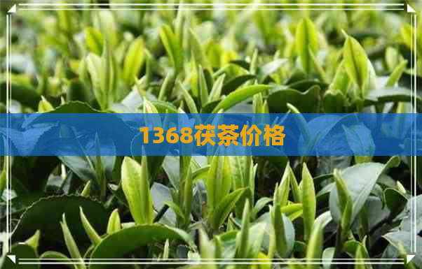 1368茯茶价格