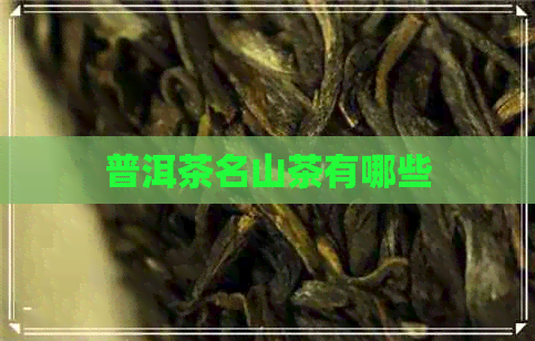 普洱茶名山茶有哪些