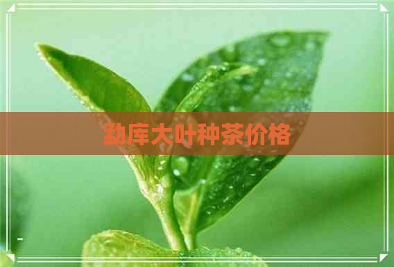 勐库大叶种茶价格