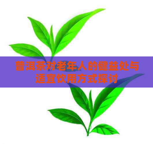 普洱茶对老年人的健益处与适宜饮用方式探讨