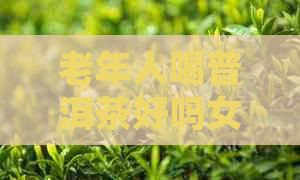 老年人喝普洱茶好吗女性能喝吗：探讨其好处及适宜性