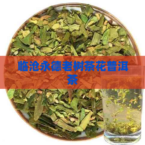 临沧永德老树茶花普洱茶