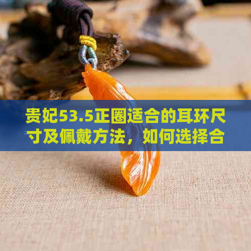 贵妃53.5正圈适合的耳环尺寸及佩戴方法，如何选择合适的耳环？