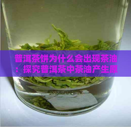 普洱茶饼为什么会出现茶油：探究普洱茶中茶油产生原因