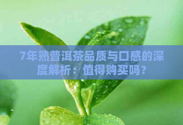 7年熟普洱茶品质与口感的深度解析：值得购买吗？