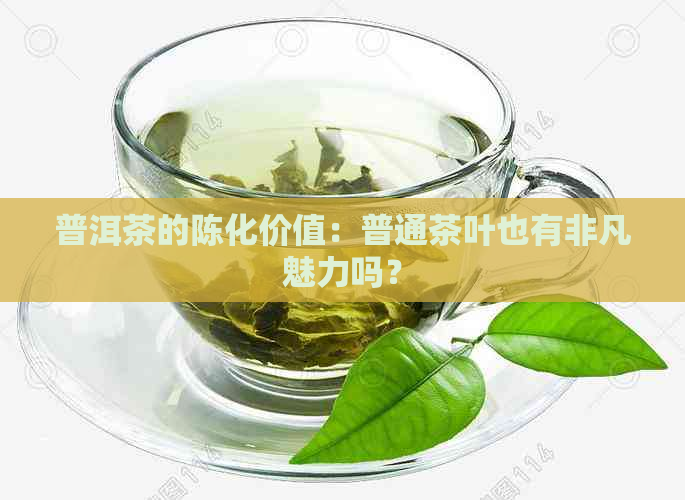 普洱茶的陈化价值：普通茶叶也有非凡魅力吗？