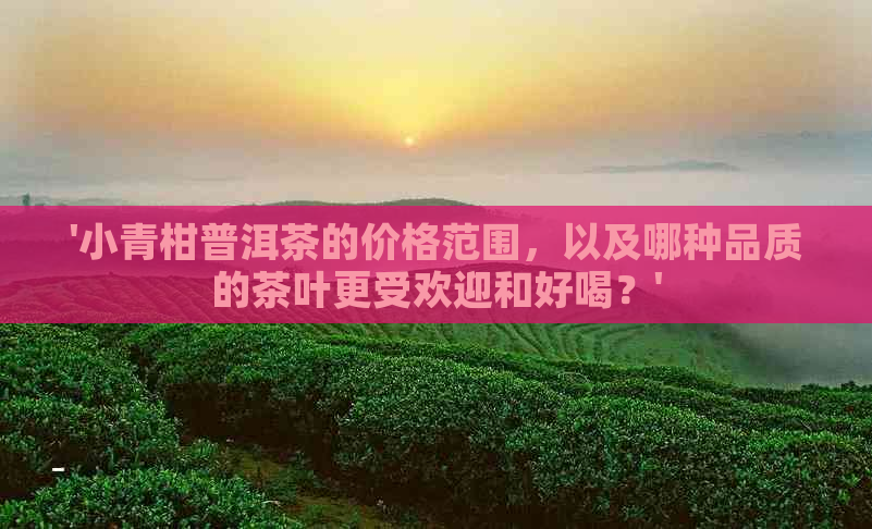 '小青柑普洱茶的价格范围，以及哪种品质的茶叶更受欢迎和好喝？'