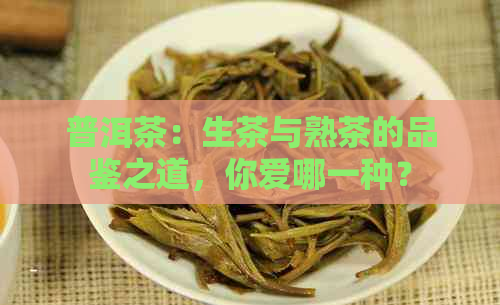 普洱茶：生茶与熟茶的品鉴之道，你爱哪一种？