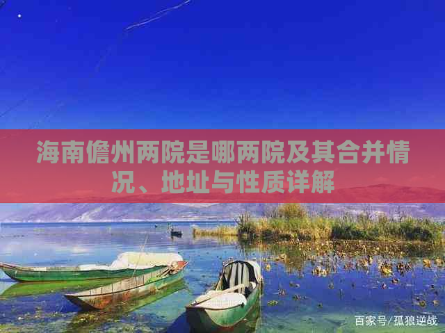 海南儋州两院是哪两院及其合并情况、地址与性质详解