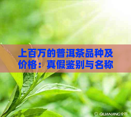 上百万的普洱茶品种及价格：真假鉴别与名称解析