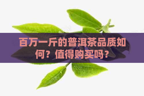 百万一斤的普洱茶品质如何？值得购买吗？