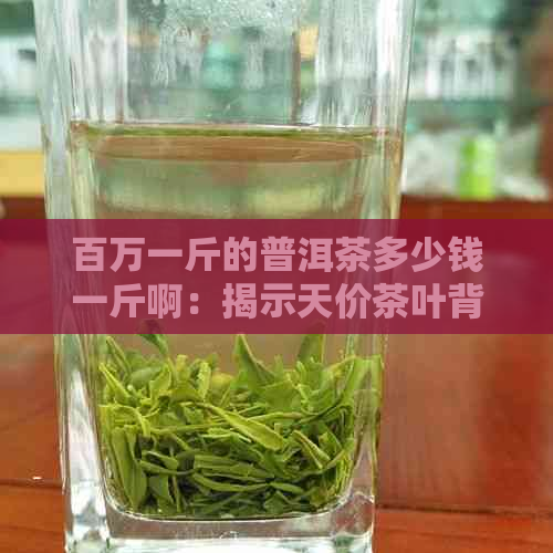 百万一斤的普洱茶多少钱一斤啊：揭示天价茶叶背后的价值与真谛