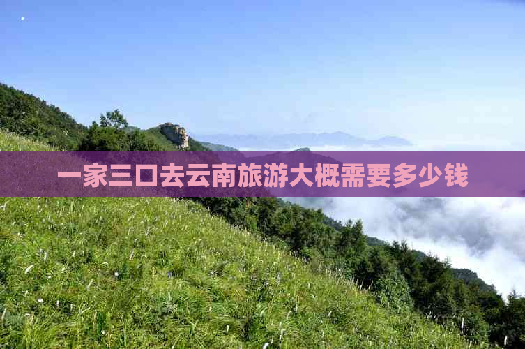 一家三口去云南旅游大概需要多少钱