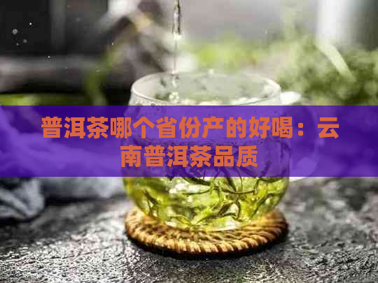 普洱茶哪个省份产的好喝：云南普洱茶品质