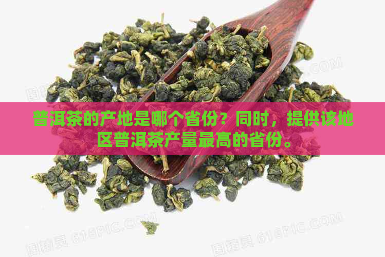 普洱茶的产地是哪个省份？同时，提供该地区普洱茶产量更高的省份。