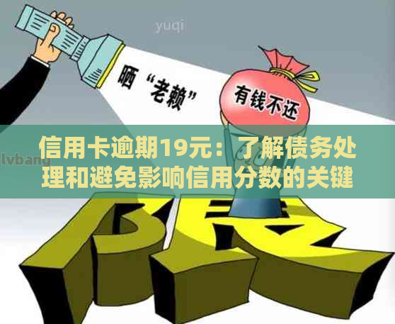 信用卡逾期19元：了解债务处理和避免影响信用分数的关键步骤