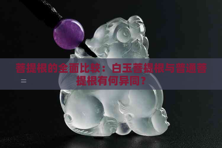 菩提根的全面比较：白玉菩提根与普通菩提根有何异同？