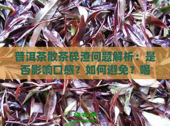 普洱茶散茶碎渣问题解析：是否影响口感？如何避免？喝下去会有什么影响？