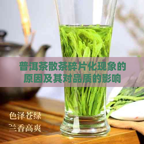 普洱茶散茶碎片化现象的原因及其对品质的影响