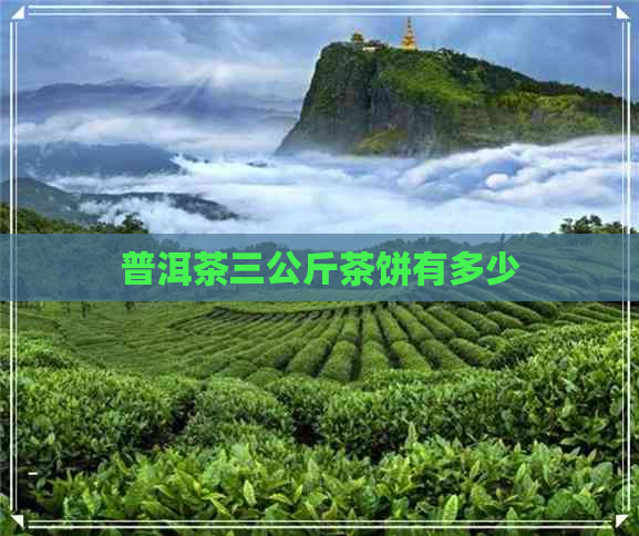 普洱茶三公斤茶饼有多少