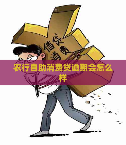 农行自助消费贷逾期会怎么样