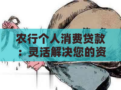 农行个人消费贷款：灵活解决您的资金需求