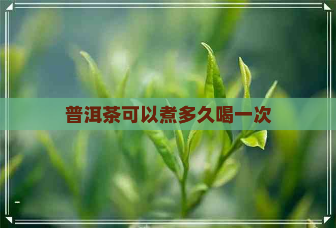 普洱茶可以煮多久喝一次