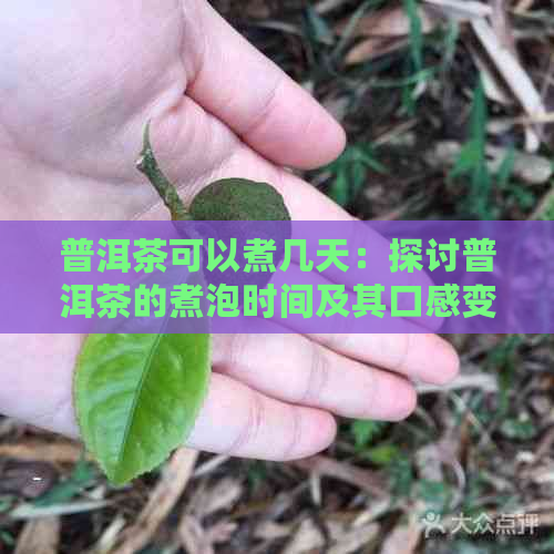 普洱茶可以煮几天：探讨普洱茶的煮泡时间及其口感变化