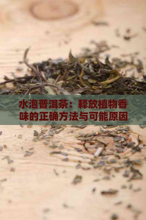 水泡普洱茶：释放植物香味的正确方法与可能原因解析