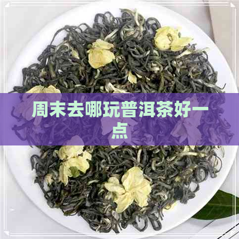 周末去哪玩普洱茶好一点