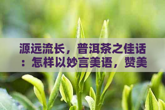 源远流长，普洱茶之佳话：怎样以妙言美语，赞美源头普洱茶？