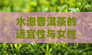 水泡普洱茶的适宜性与女性饮用安全性：一篇全面解答